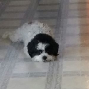 Meet your Posher, Valerie